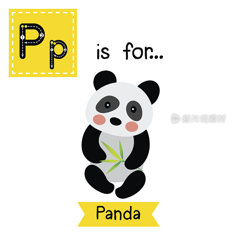 字母P跟踪。坐着的熊猫。