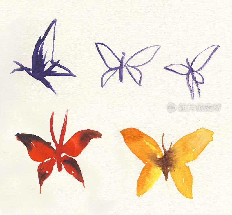 画水彩的蝴蝶