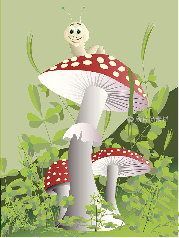 蘑菇。