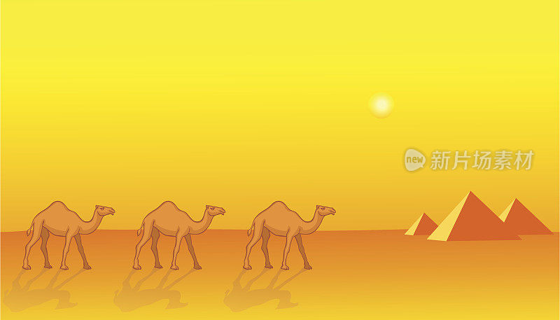 骆驼和金字塔