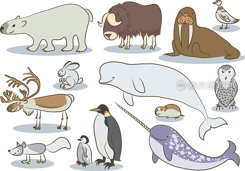 极地动物儿童绘画