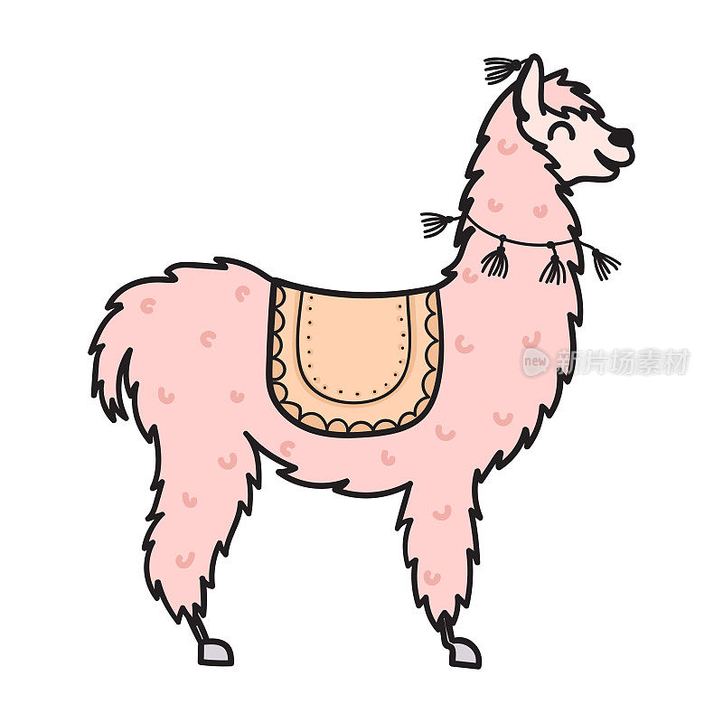 手绘秘鲁动物，羊驼，小羊驼。