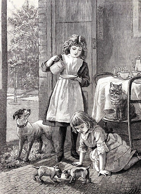 两个女孩正在喂小狗