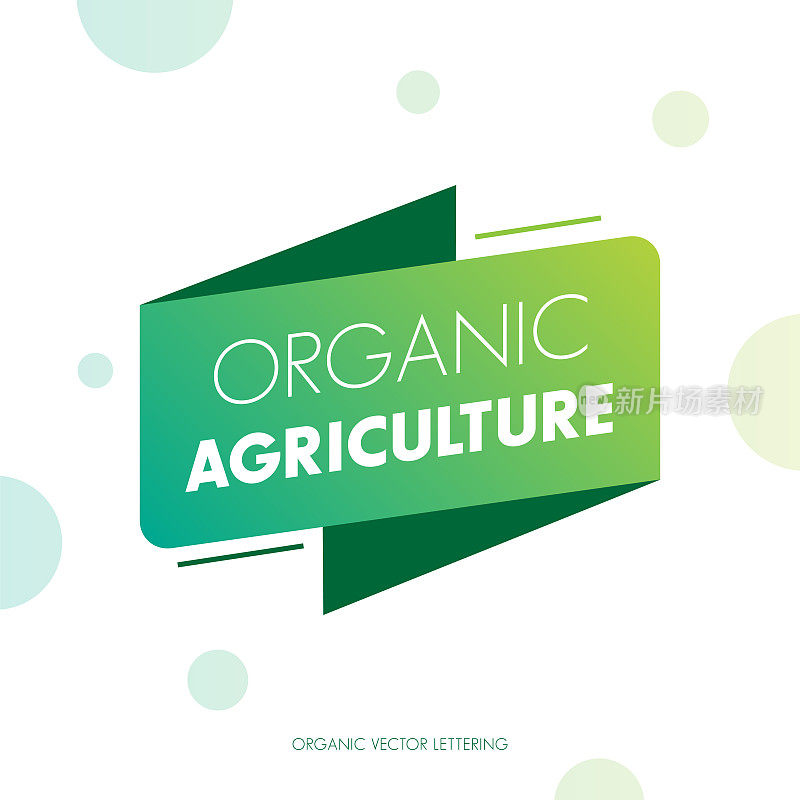 有机食品标签。天然膳食新鲜产品标志。生态农场生物食品病媒优质徽章图例