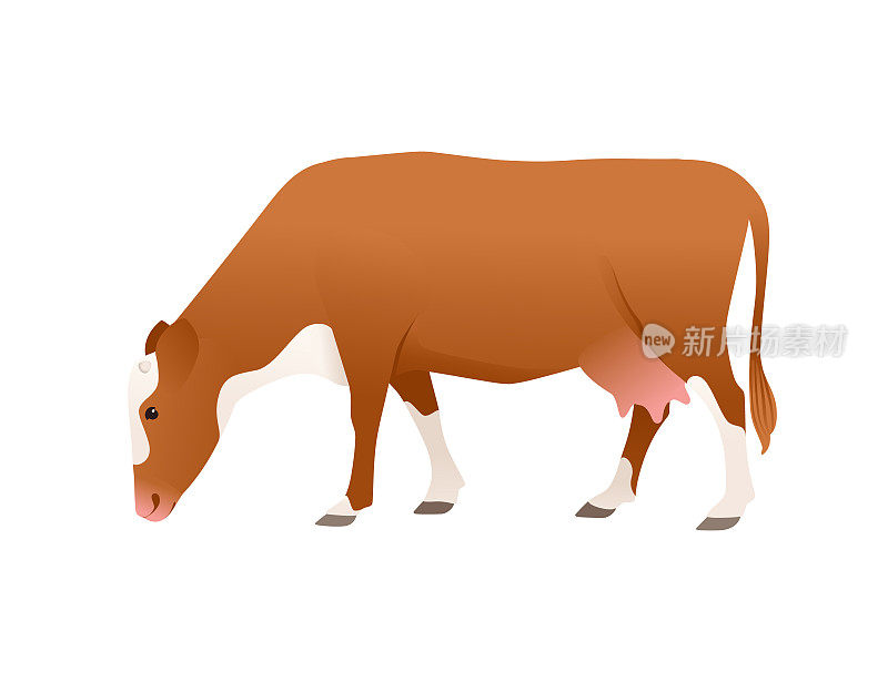 奶牛西门塔尔奶牛斑点家养哺乳动物卡通设计矢量插图在白色背景