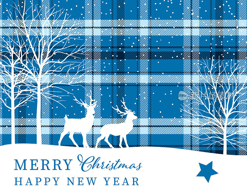 圣诞快乐，新年快乐模板。格子上的冬鹿