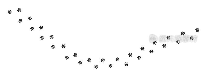 湿或泥脚印的狗，猫，熊，老虎，浣熊。爪子邮票。奔跑或行走的动物脚印孤立在白色背景上