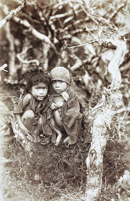 火地岛的两个女孩，1882年