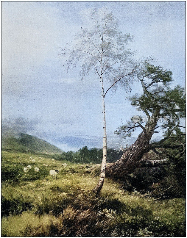 古董绘画照片:风景