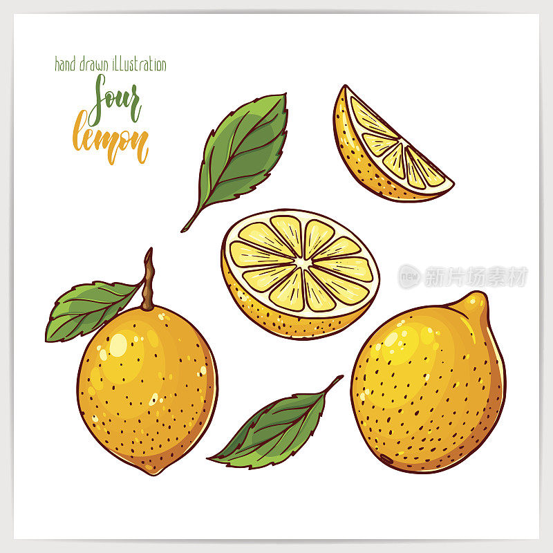 漂亮的矢量插图手绘彩色柠檬。