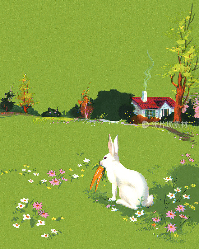 兔子在草地上吃胡萝卜