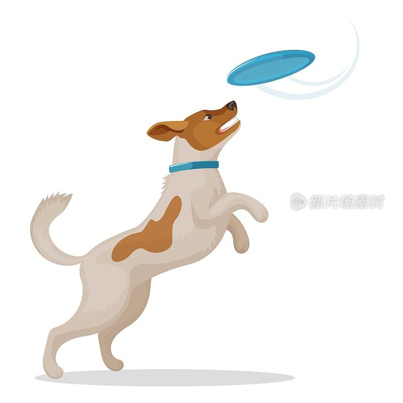 蹦蹦跳跳的狗正在抓一个蓝色的飞盘
