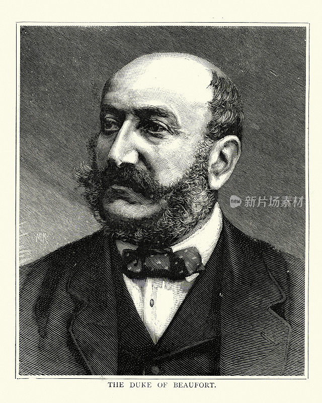 亨利・萨默塞特,博福特八世公爵