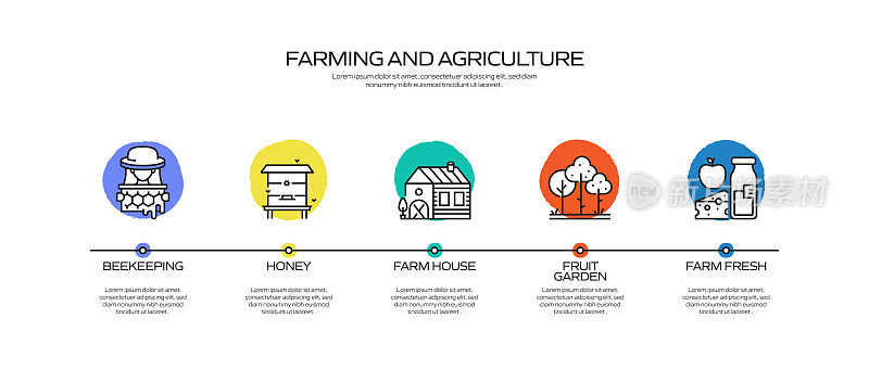 农业和农业相关过程信息图模板。过程时间图。带图标的工作流布局