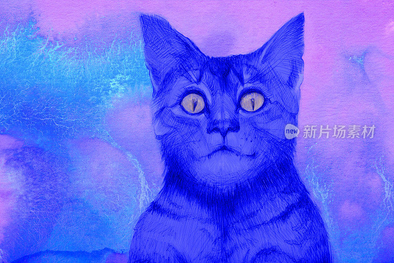 插画用水彩画，画的是一只在黑暗中闪烁着眼睛的小猫，背景是用蓝色晚霞色流动的水彩画