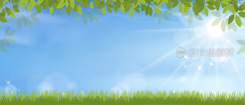 春天的背景与草地景观，绿色的叶子框架在蓝色的天空背景，向量卡通与复制空间阳光灿烂在早上，复活节的背景横幅，春天，暑假