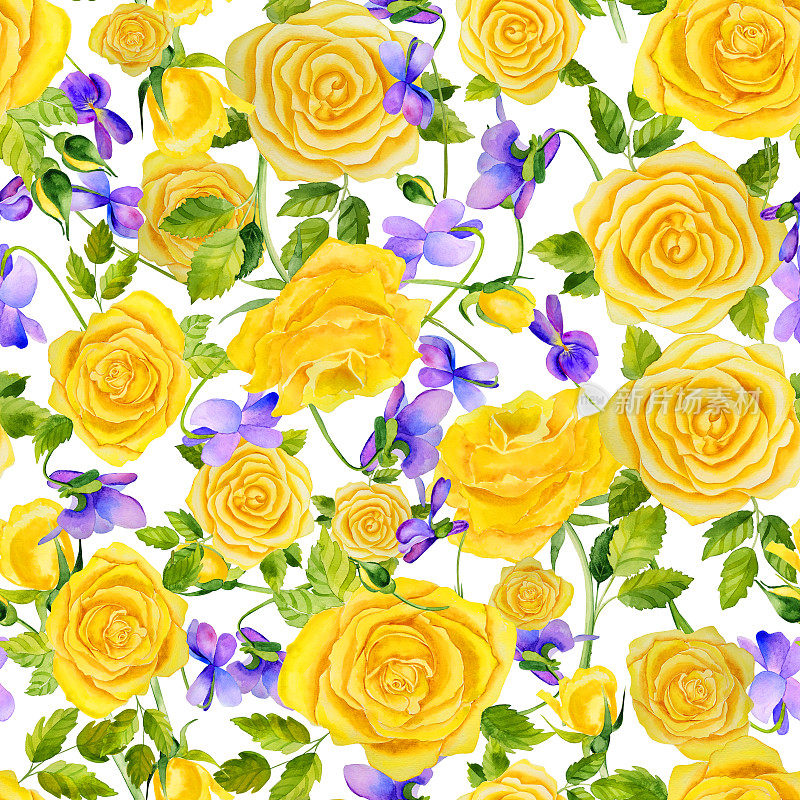 黄色玫瑰和紫罗兰无缝图案。夏天花手绘水彩插图。浪漫的背景。用于布料和墙纸。明亮的花卉设计。
