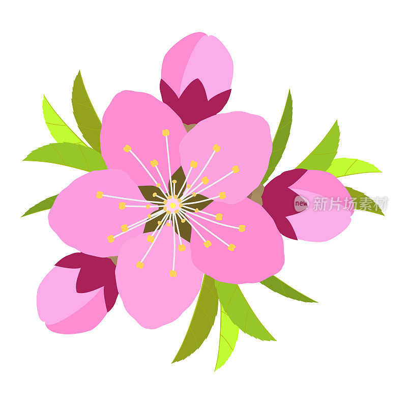 桃花与桃花叶的装饰插图