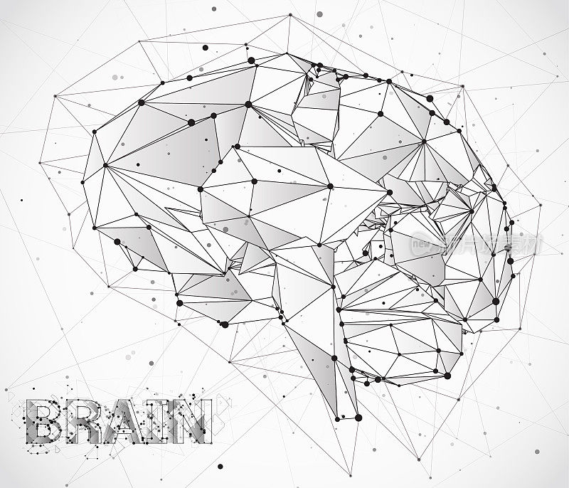 三维矢量网络大脑。神经网络海量数据处理，模板接口设计