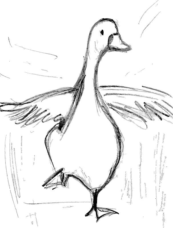 鹅拍打着翅膀，素描是用铅笔画的。矢量图