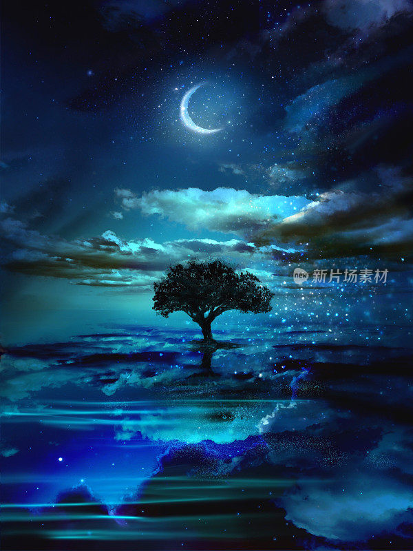 乌尤尼湖反射出美丽清澈的夜空，在美丽的星夜中，一棵树在中心升起