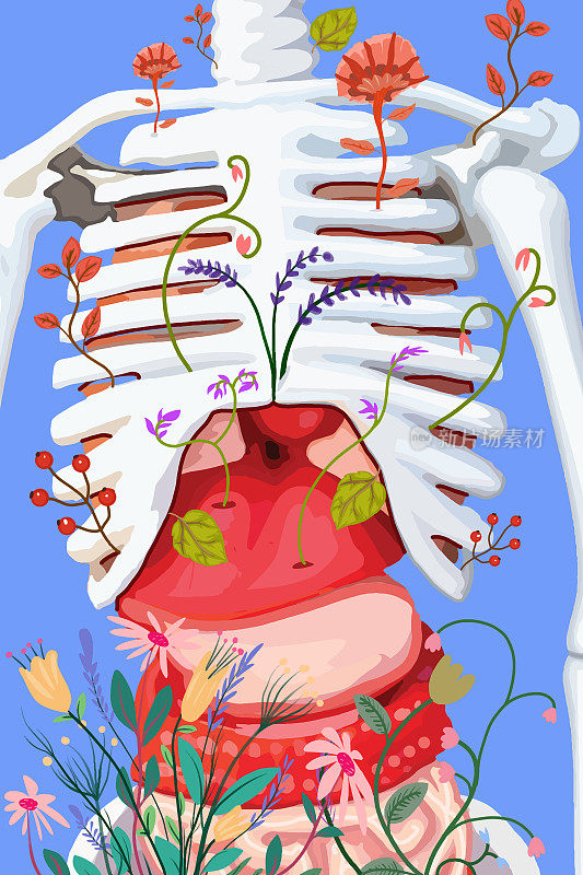 人的骨架和花朵