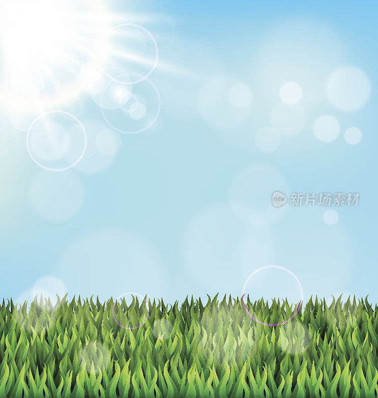 绿草如茵的草坪，阳光洒在蓝天上。植物的自然