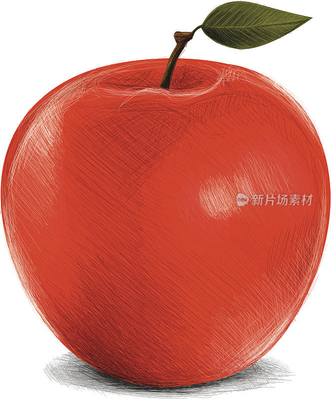 粗略的红苹果