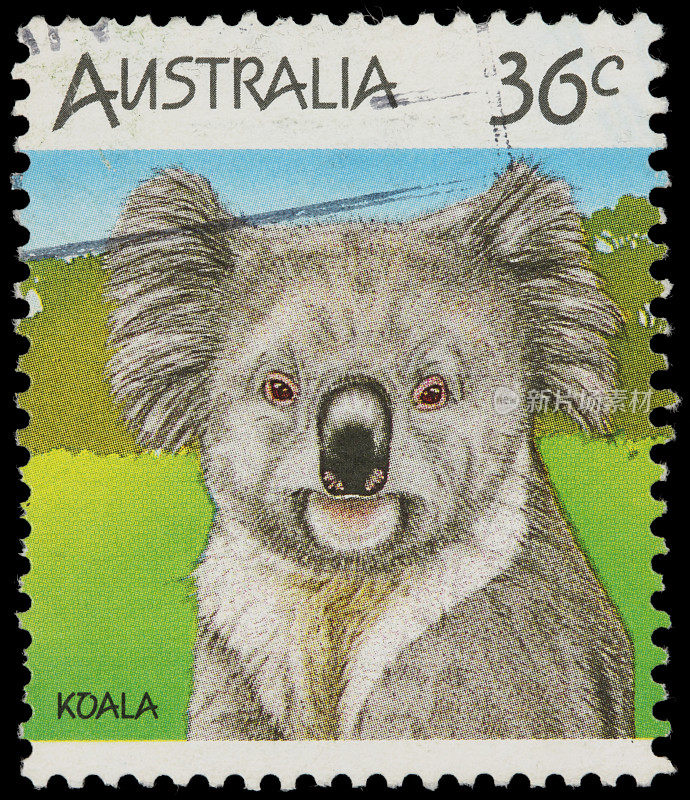 澳大利亚考拉邮票