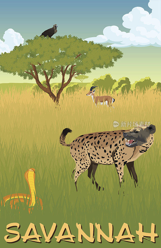 非洲大草原与鬣狗，眼镜蛇和瞪羚-媒介插图