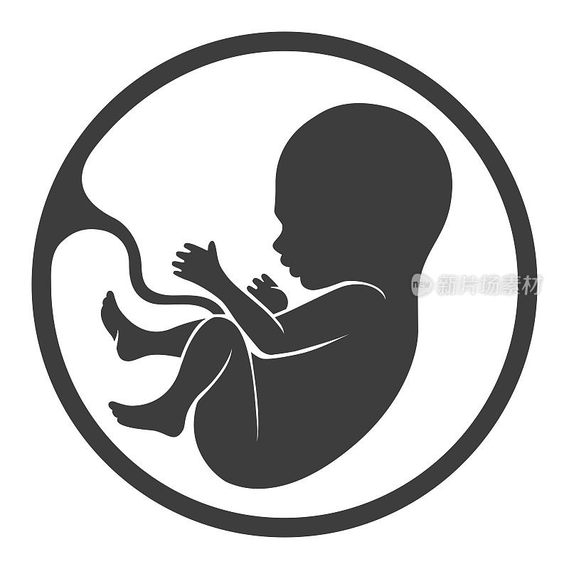 胎儿胎盘轮廓