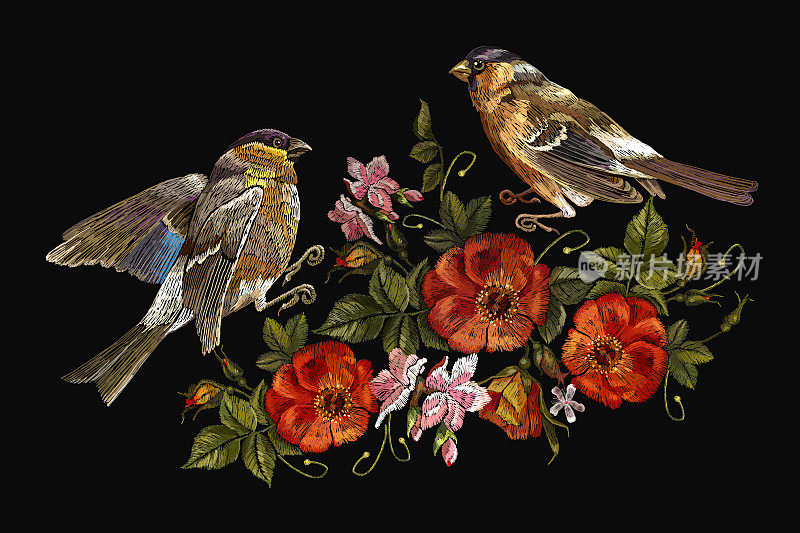 刺绣鸟和花的载体。经典的刺绣红腹灰雀和山雀，复古的野玫瑰花蕾。春季时装艺术，服装设计模板，t恤艺术