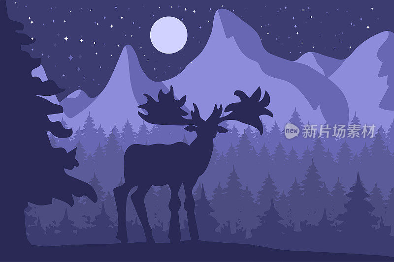 麋鹿在夜间的针叶林附近的山上