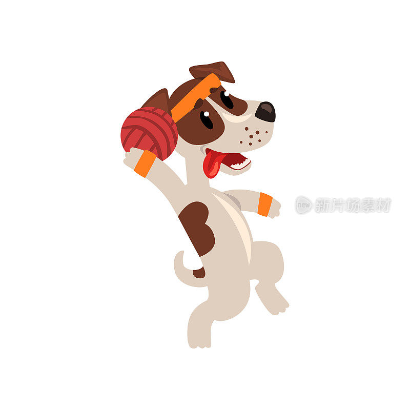 可爱的杰克罗素梗运动员，玩球，有趣的运动宠物狗角色做运动矢量插图在白色的背景