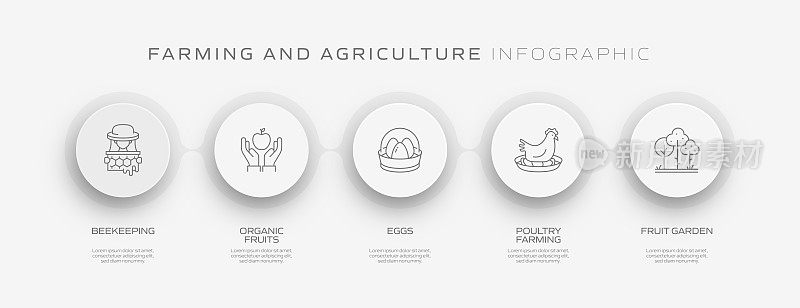 农业和农业相关过程信息图模板。过程时间图。带图标的工作流布局