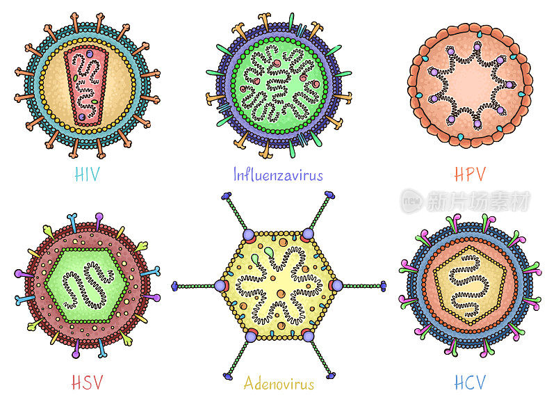 一组不同的病毒在手画风格。