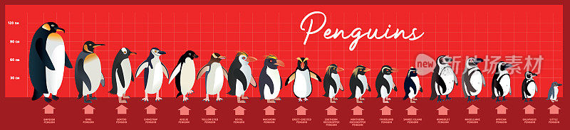 世界上企鹅的类型