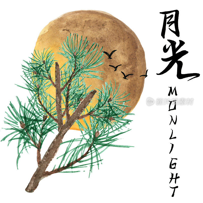 日本的植物，水彩插图。亚洲风格的印刷。日本传统园林，水彩手绘插画。