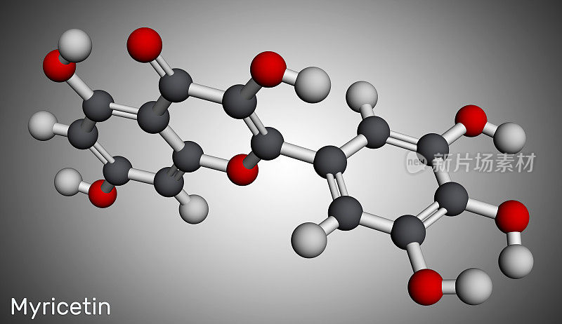 杨梅酮分子。它是天然产物，类黄酮。分子模型。三维渲染