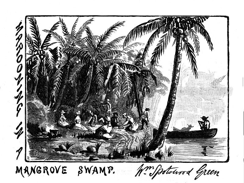 维多利亚时代的黑白雕刻;在沼泽中划船;1887