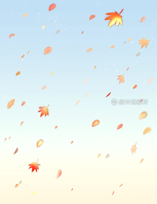 美丽的背景和落叶