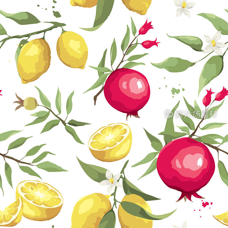柠檬和石榴枝的夏季图案。