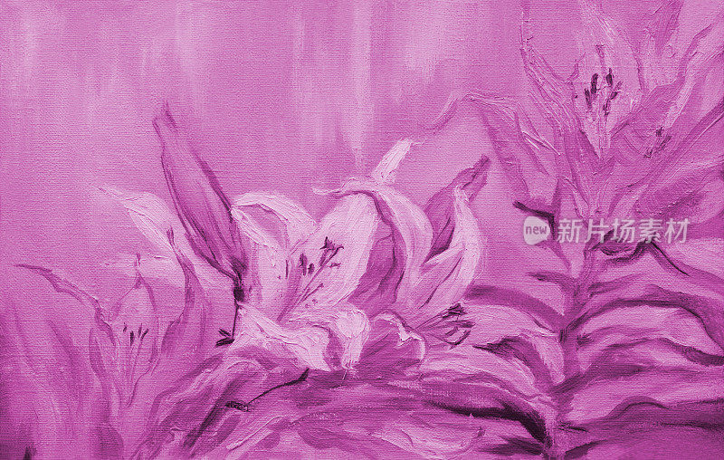 插画艺术油画山水百合花紫色盛开