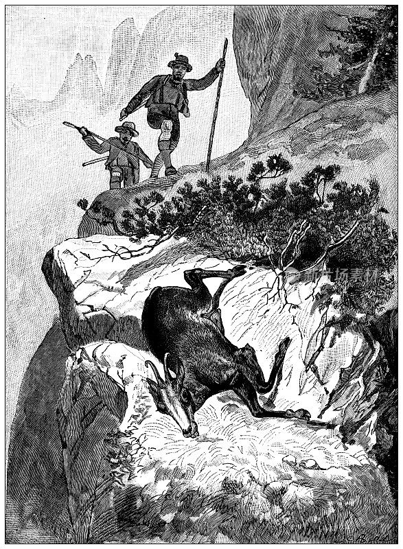 1889年的运动和消遣:猎羚羊