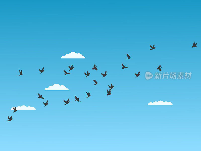 鸟在蓝天矢量插图飞行
