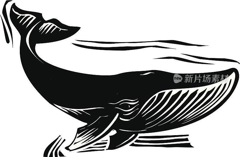 木刻鲸鱼6