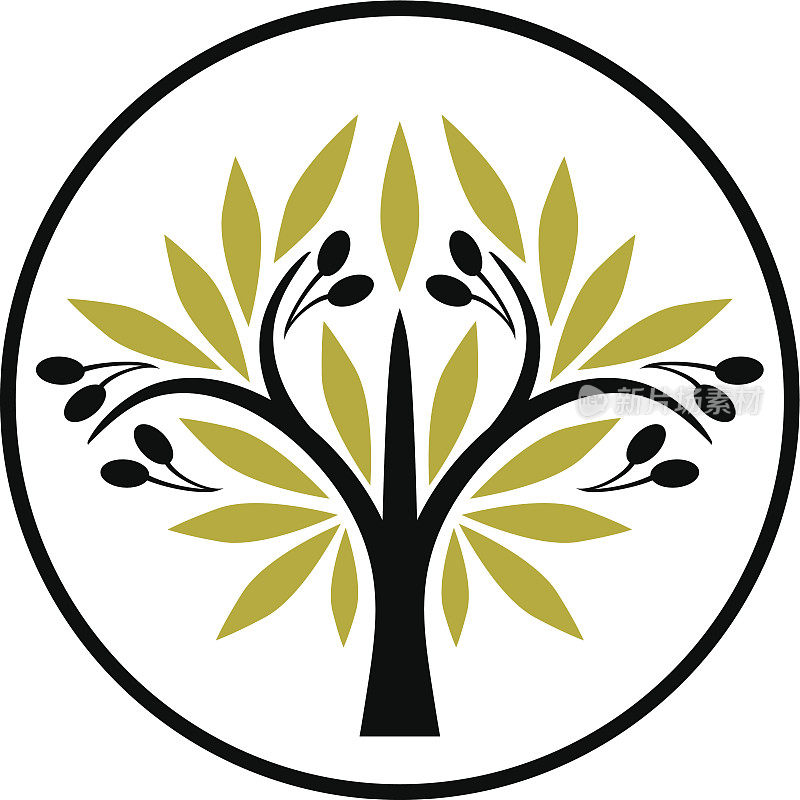橄榄树象征