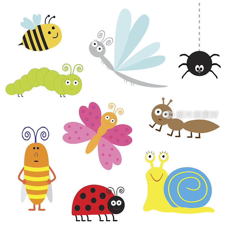 可爱的卡通昆虫组。瓢虫，蜻蜓，蝴蝶，毛毛虫，蚂蚁，蜘蛛