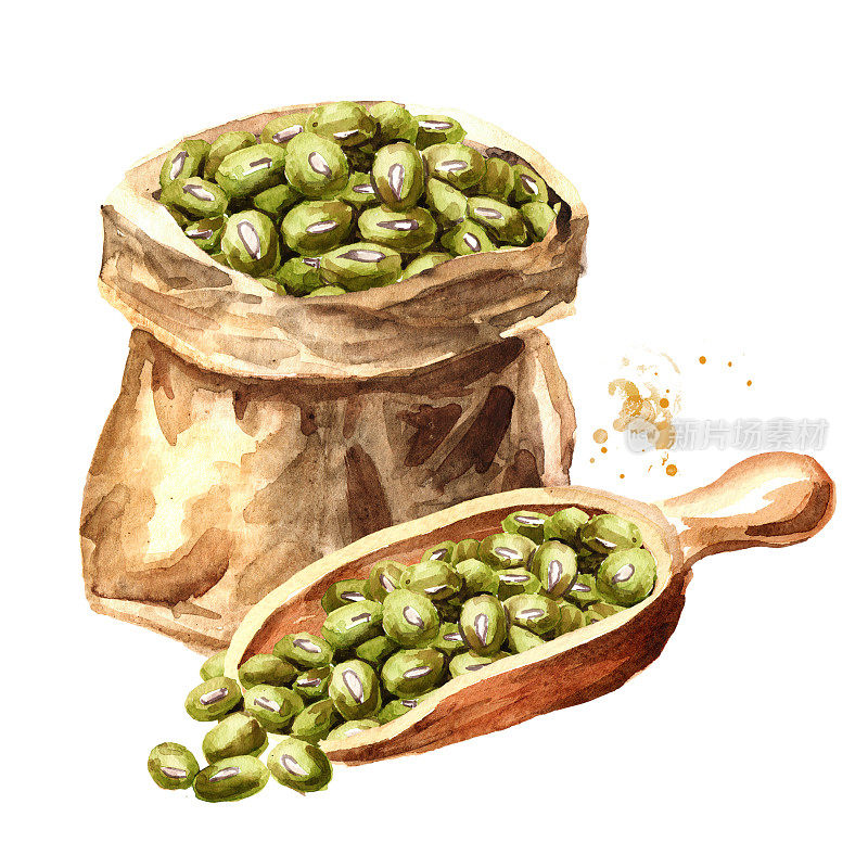 装在纸袋里的生绿豆，和豆子一起舀。手绘水彩插图，孤立的白色背景