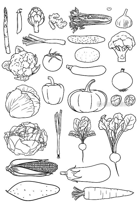 一套简单的蔬菜图画，适合涂色书